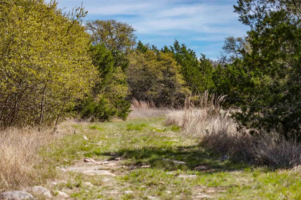 Saddle Ridge Drive Bertram, TX 78605