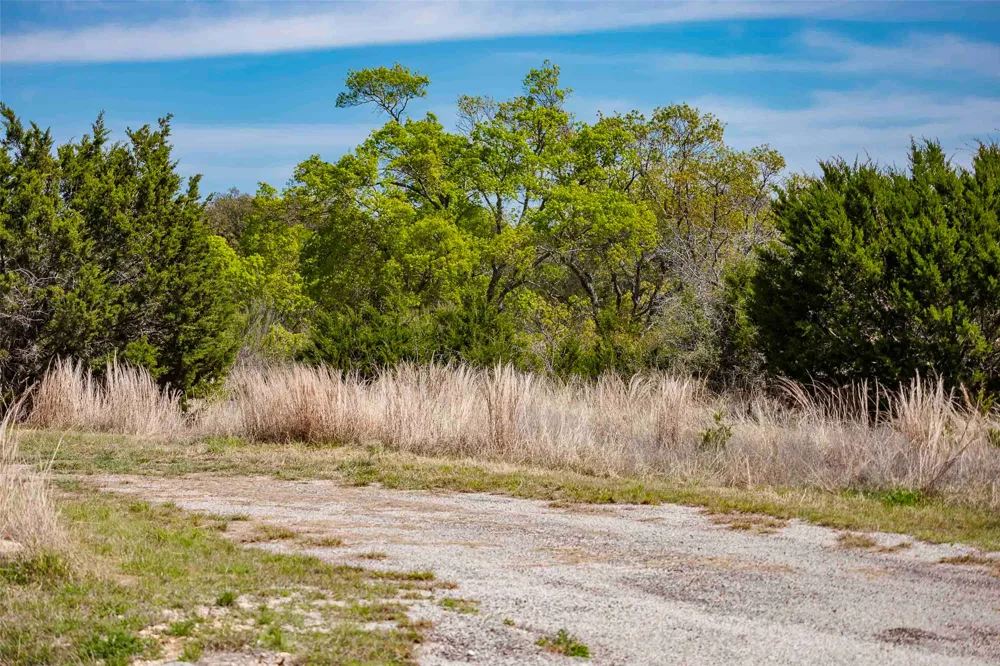 Saddle Ridge Drive Bertram, TX 78605