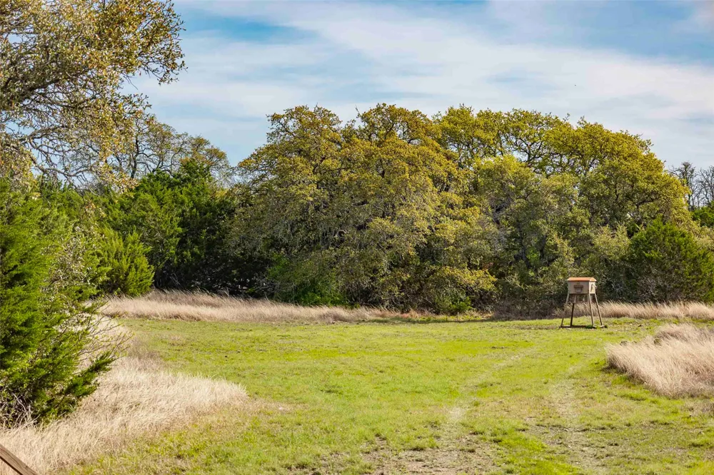 Saddle Ridge Drive Bertram, TX 78605