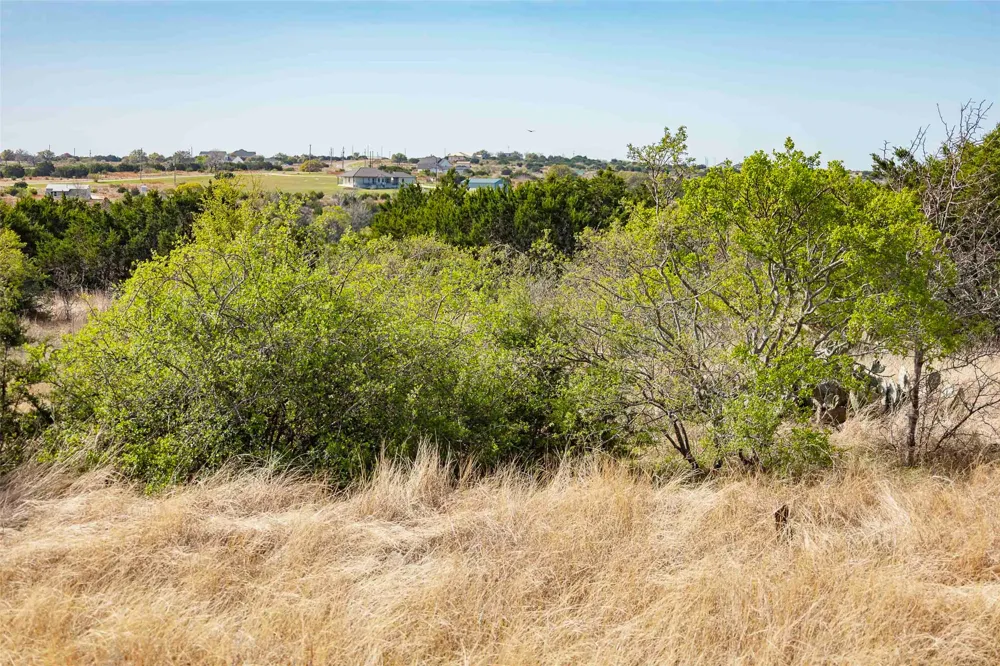 8 Saddle Ridge Drive Bertram, TX 78605