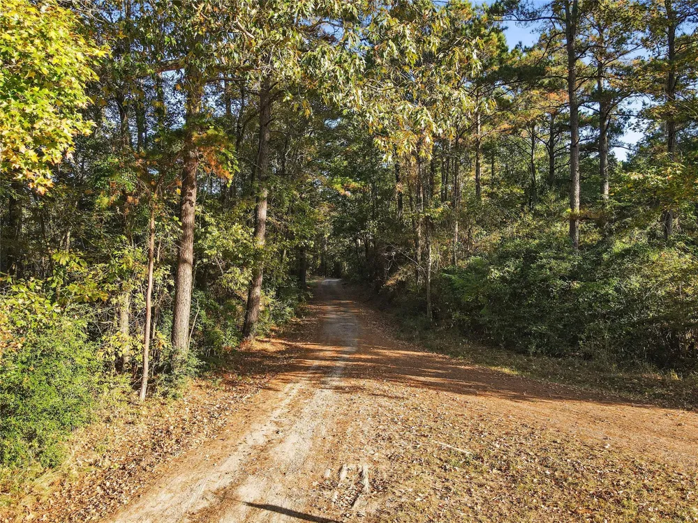 Jordan Road Point Blank, TX 77364