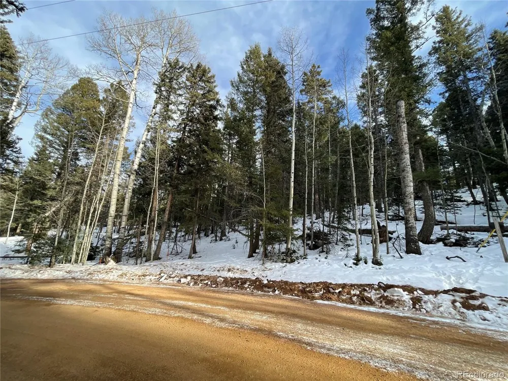 222 Banner Trail Florissant, CO 80816