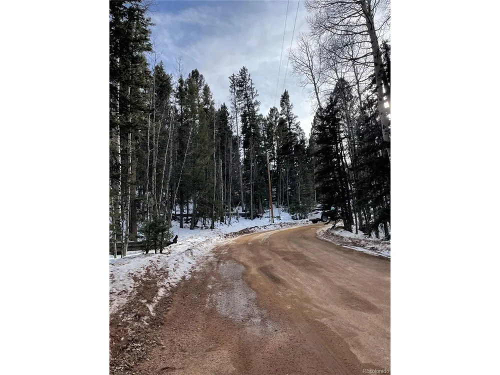 222 Banner Trail Florissant, CO 80816