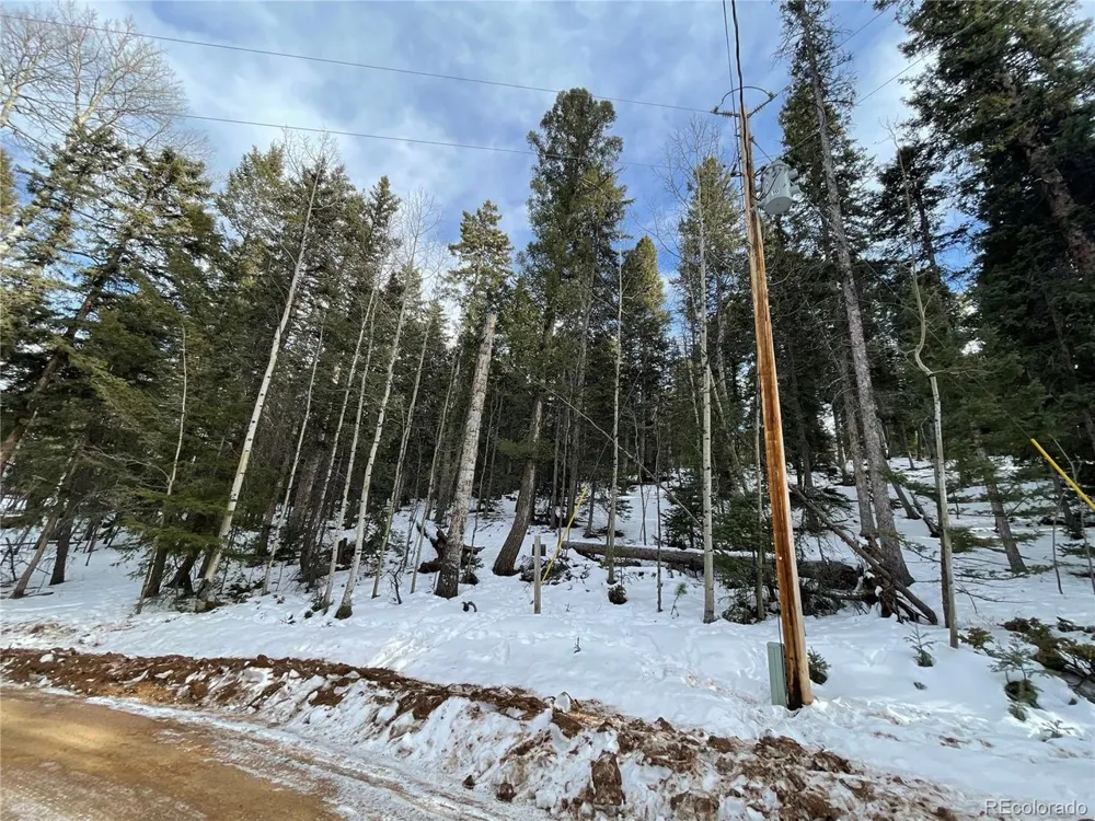 222 Banner Trail Florissant, CO 80816