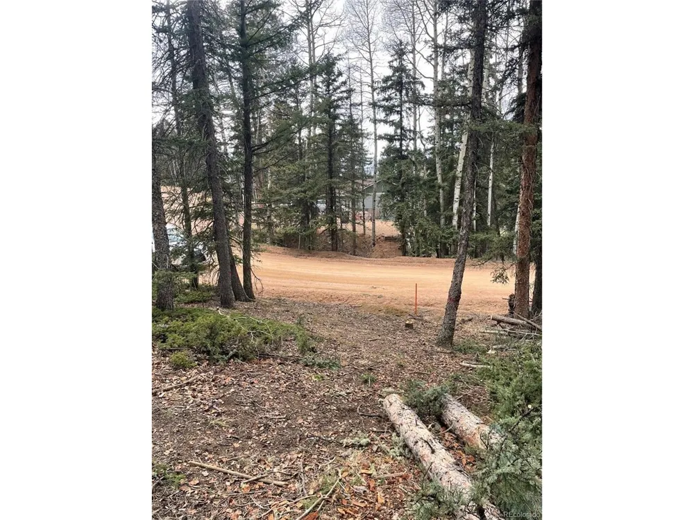 222 Banner Trail Florissant, CO 80816