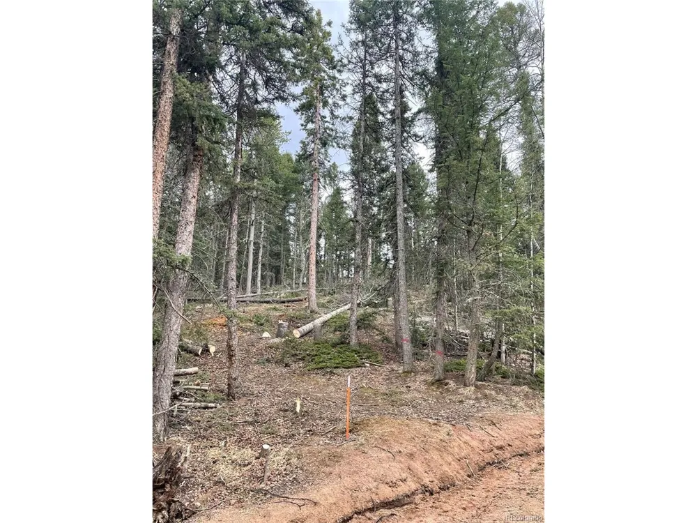 222 Banner Trail Florissant, CO 80816