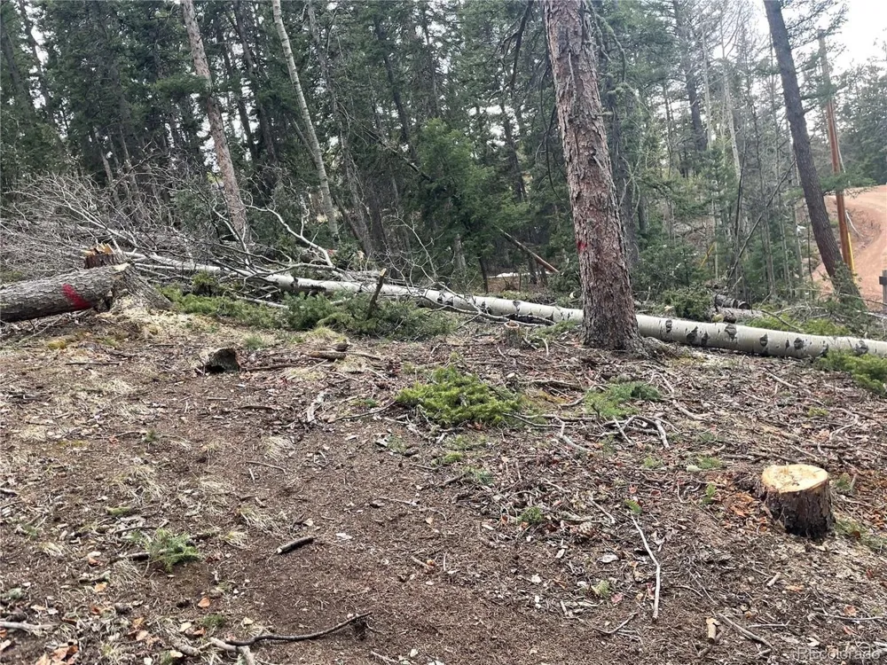 222 Banner Trail Florissant, CO 80816