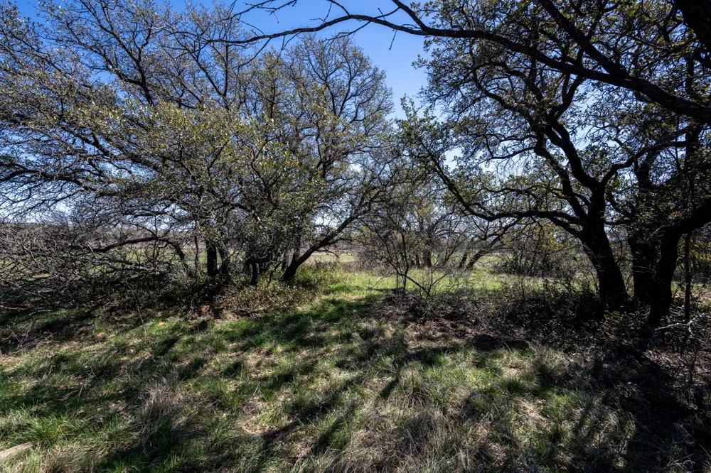 TBD County Road 291 Breckenridge, TX 76464