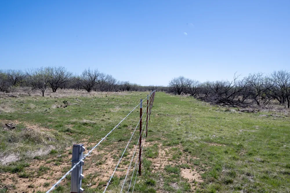 TBD County Road 291 Breckenridge, TX 76464