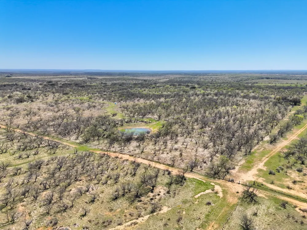 TBD County Road 291 Breckenridge, TX 76464