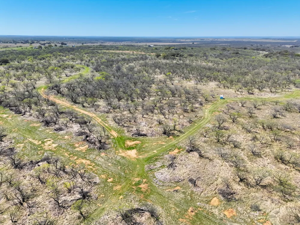 TBD County Road 291 Breckenridge, TX 76464