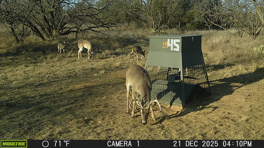 TBD County Road 291 Breckenridge, TX 76464