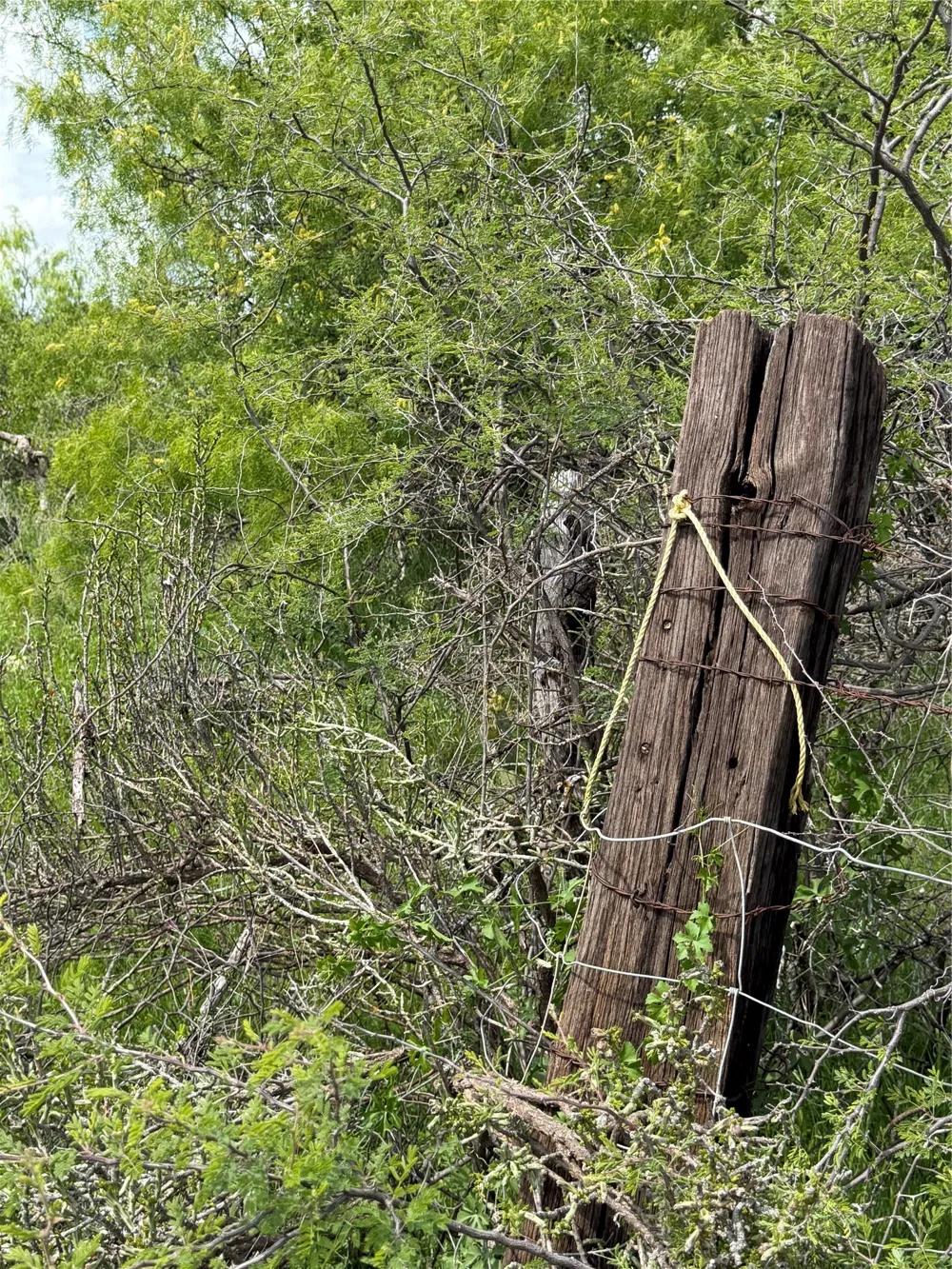 County Road 149 Brownwood, TX 76801