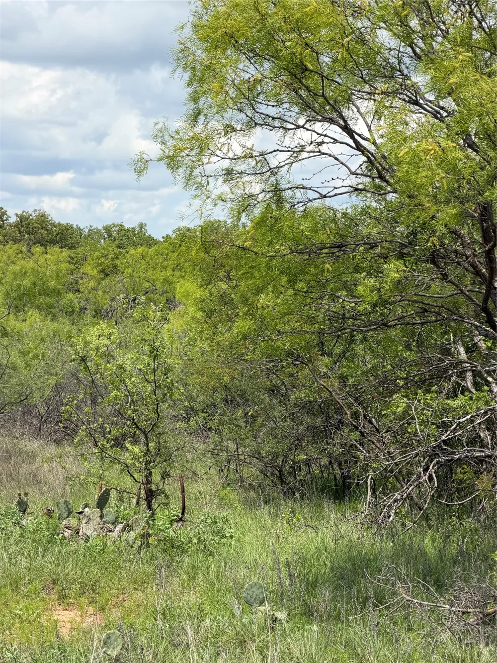 County Road 149 Brownwood, TX 76801