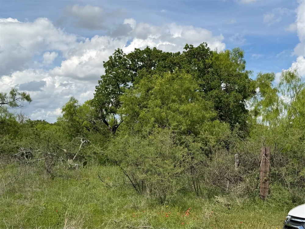 County Road 149 Brownwood, TX 76801