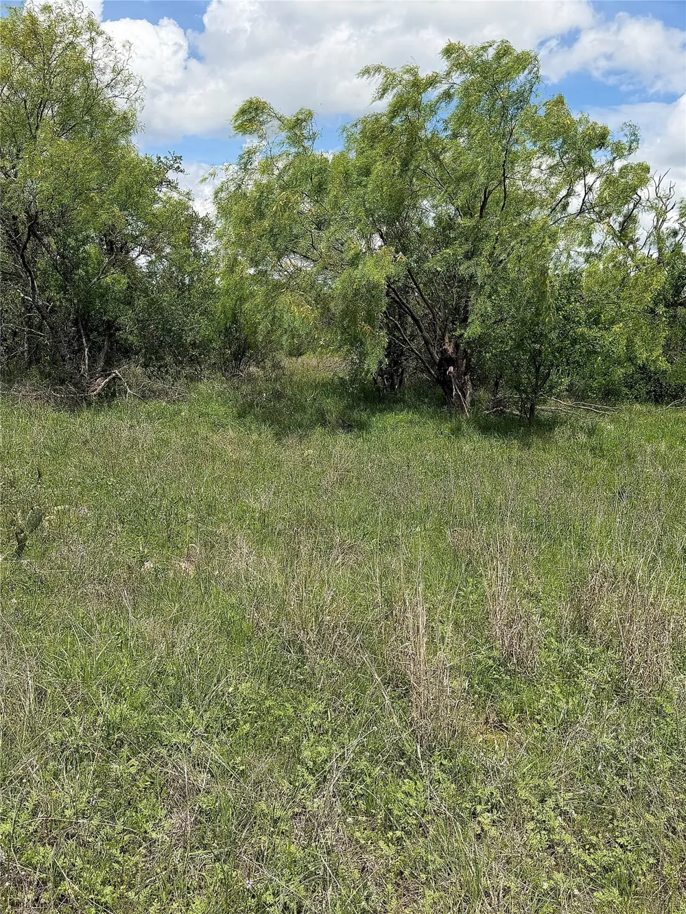 County Road 149 Brownwood, TX 76801