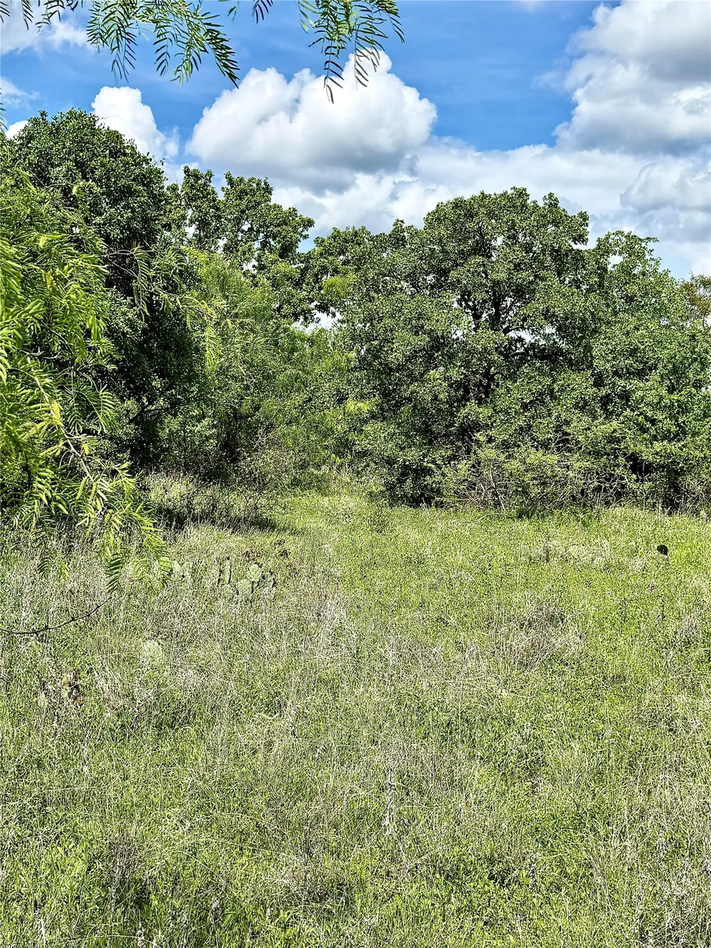 County Road 149 Brownwood, TX 76801