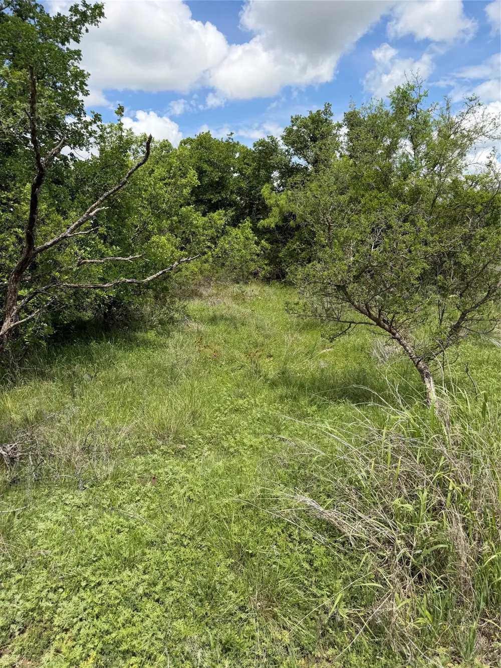 County Road 149 Brownwood, TX 76801