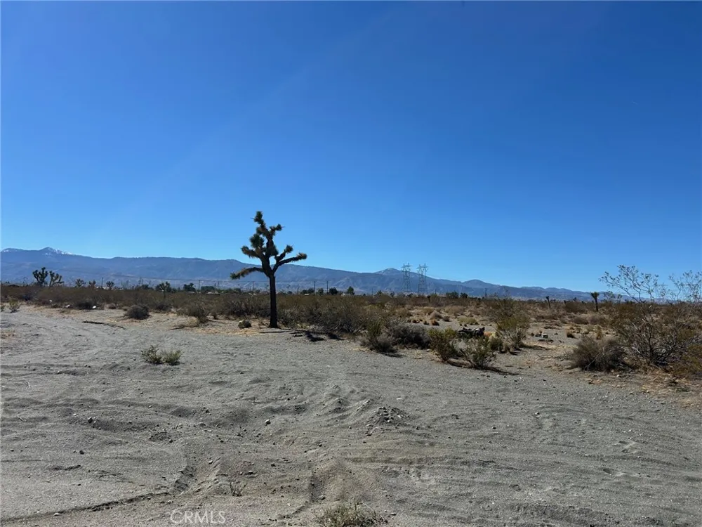 Shandin Road Phelan, CA 92371
