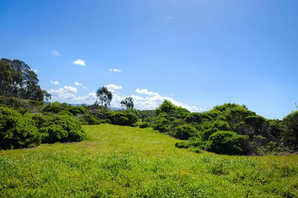 121 Bernal Avenue Moss Beach, CA 94038
