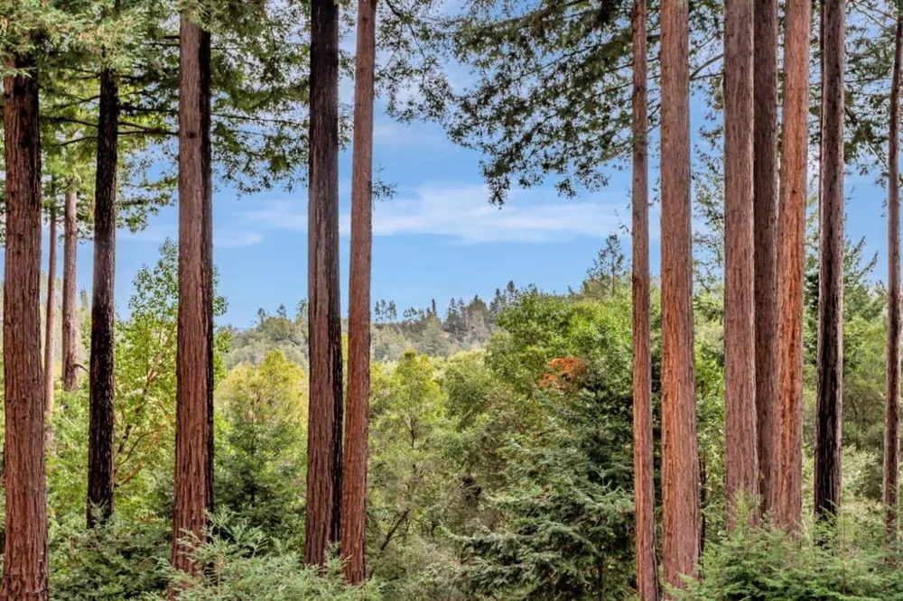 12845 Love Creek Road Ben Lomond, CA 95005