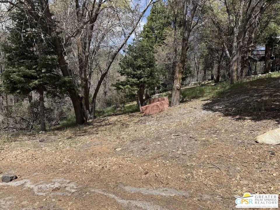 6032 Tripp Lane Angelus Oaks, CA 92305