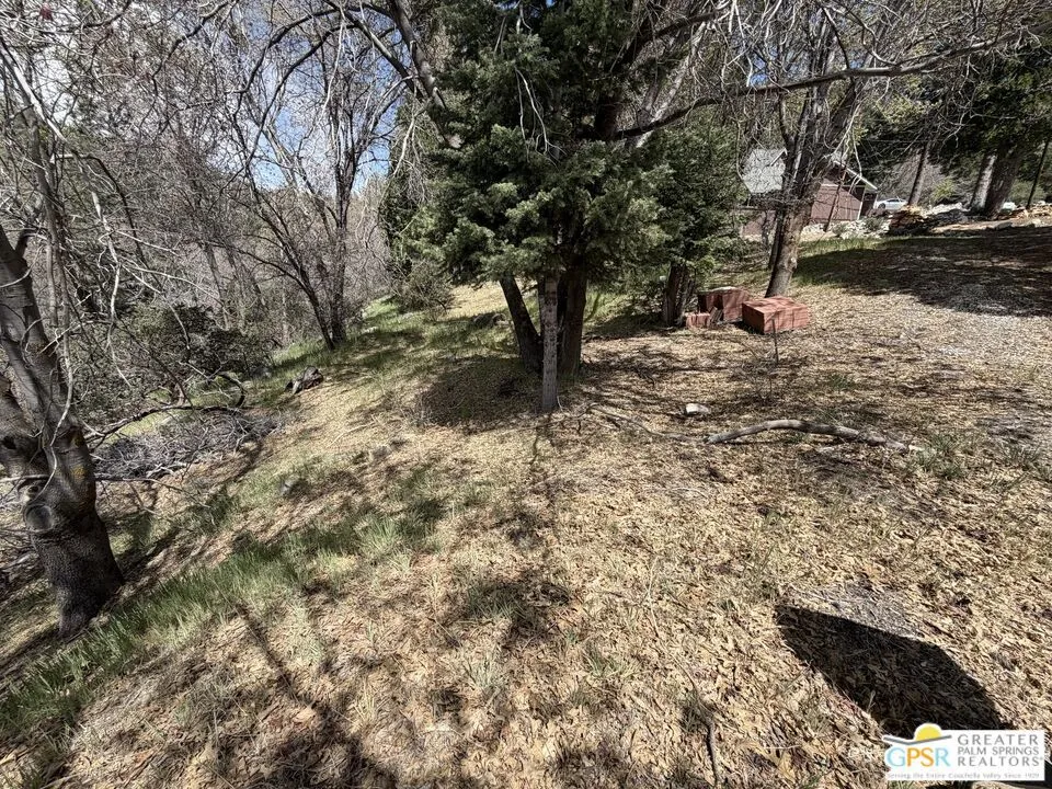 6032 Tripp Lane Angelus Oaks, CA 92305