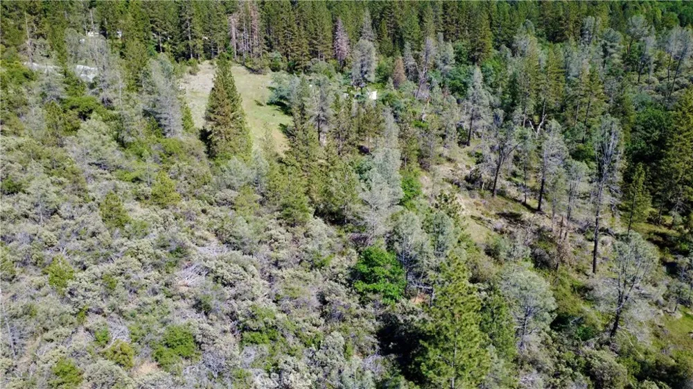 17861 Ponderosa Oroville, CA 95966