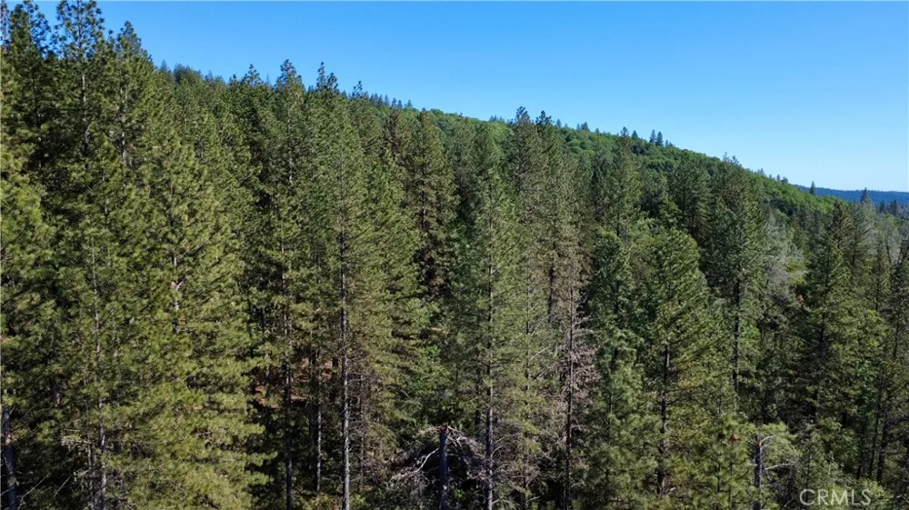 17861 Ponderosa Oroville, CA 95966