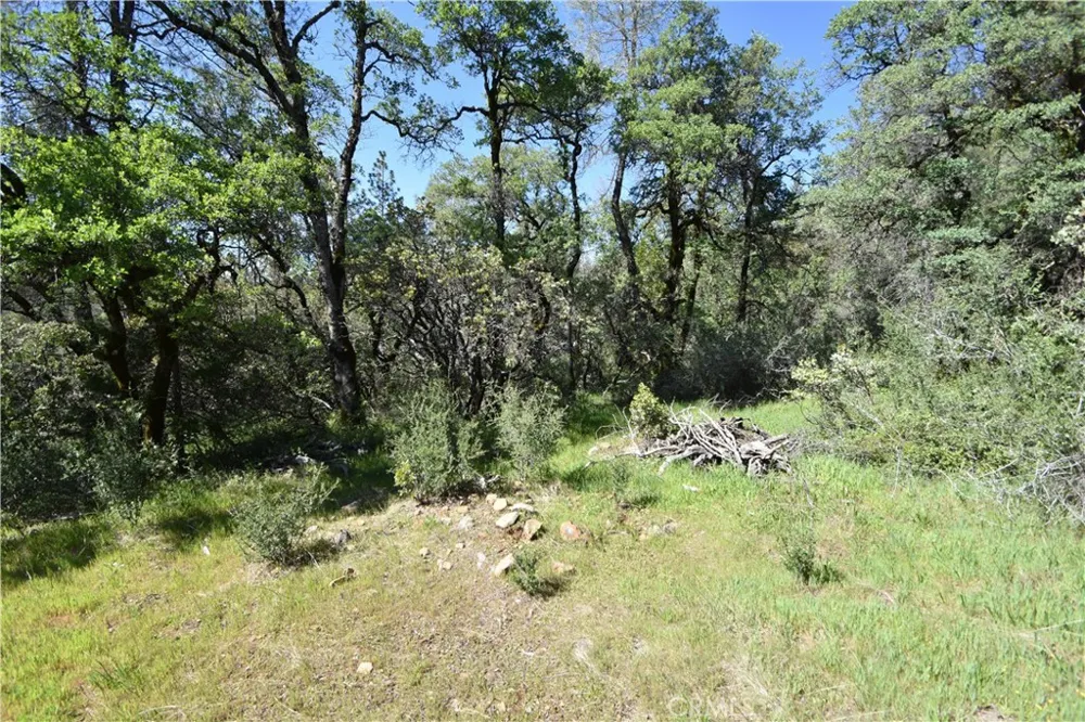 17861 Ponderosa Oroville, CA 95966