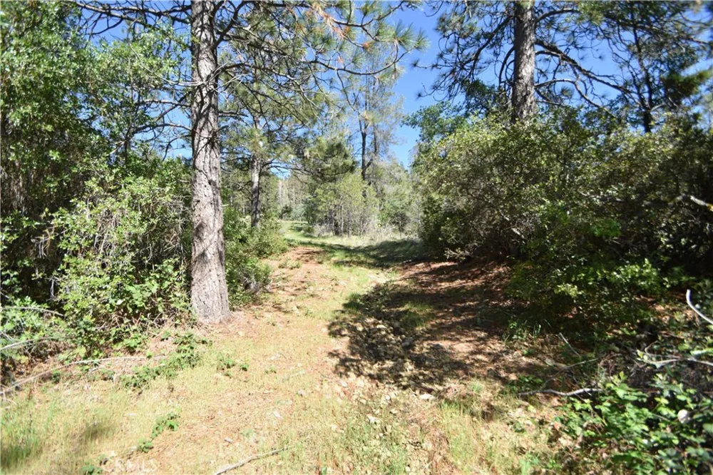17861 Ponderosa Oroville, CA 95966