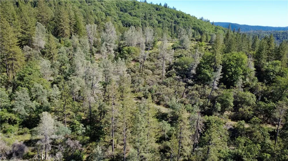 17861 Ponderosa Oroville, CA 95966