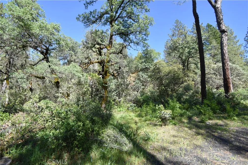 17861 Ponderosa Oroville, CA 95966