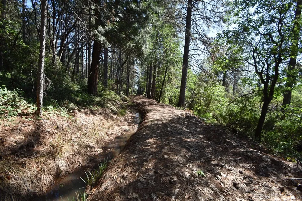 17861 Ponderosa Oroville, CA 95966