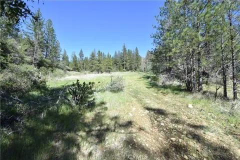 17861 Ponderosa
