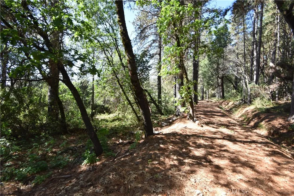 17861 Ponderosa Oroville, CA 95966