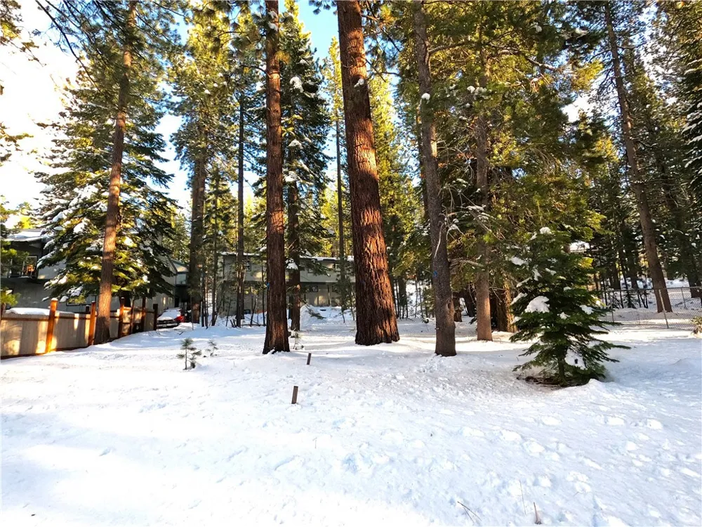1662 Maiden Hair Ct South Lake Tahoe, CA 96150