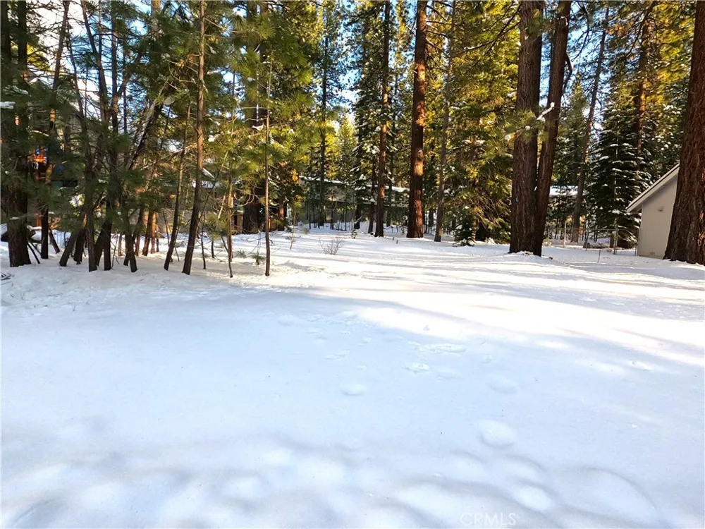1662 Maiden Hair Ct South Lake Tahoe, CA 96150