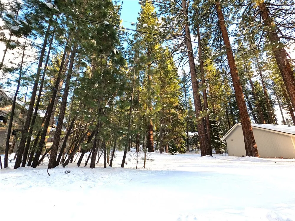 1662 Maiden Hair Ct South Lake Tahoe, CA 96150