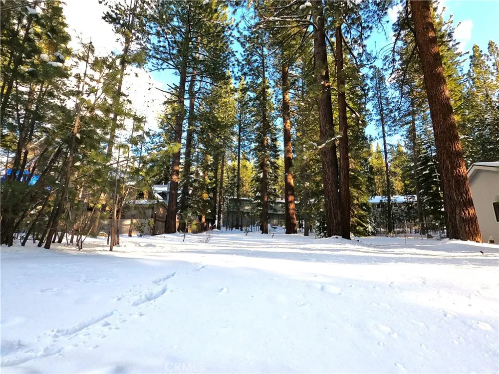 1662 Maiden Hair Ct South Lake Tahoe, CA 96150