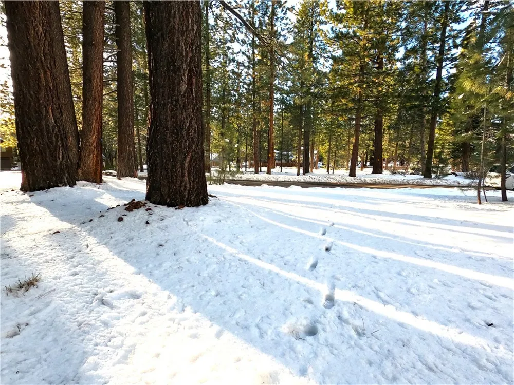 1662 Maiden Hair Ct South Lake Tahoe, CA 96150