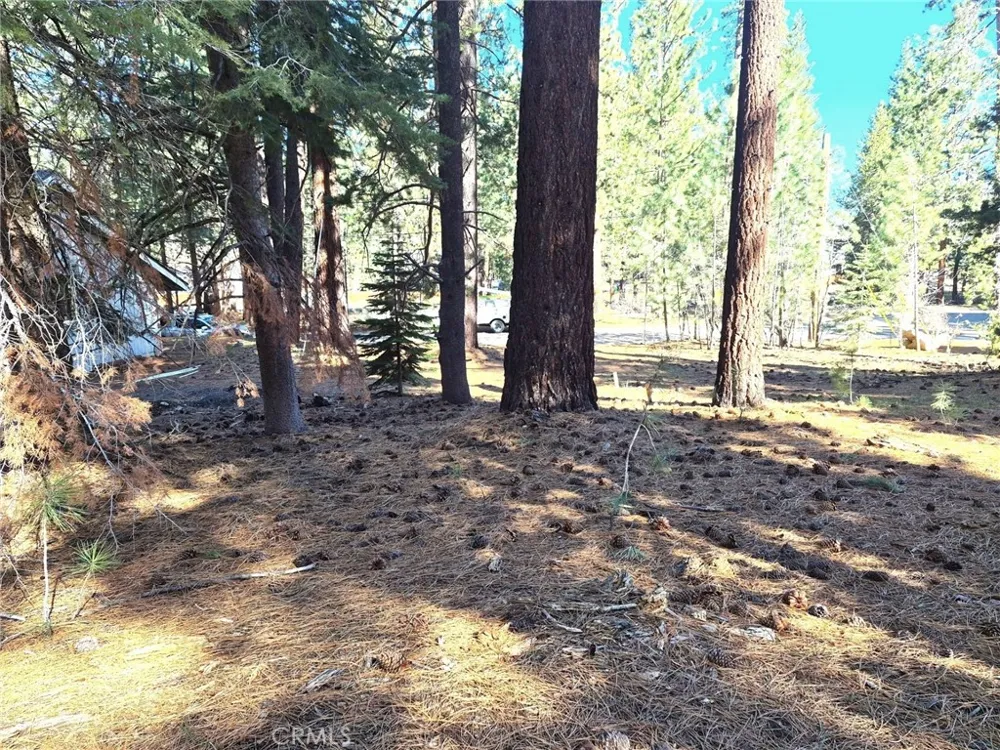 1662 Maiden Hair Ct South Lake Tahoe, CA 96150