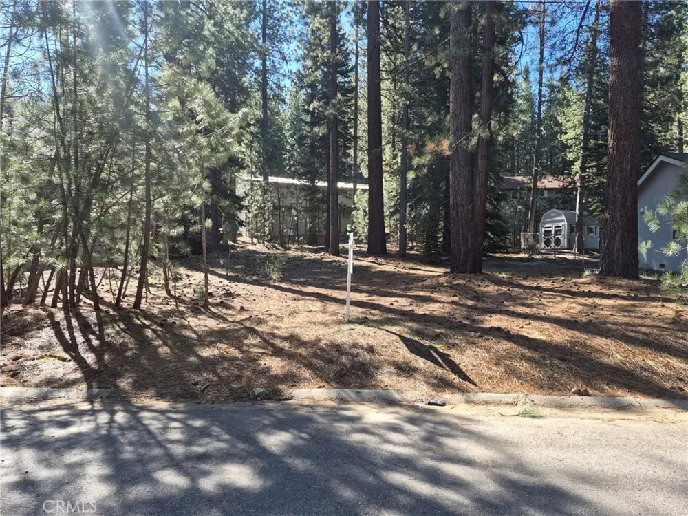 1662 Maiden Hair Ct South Lake Tahoe, CA 96150