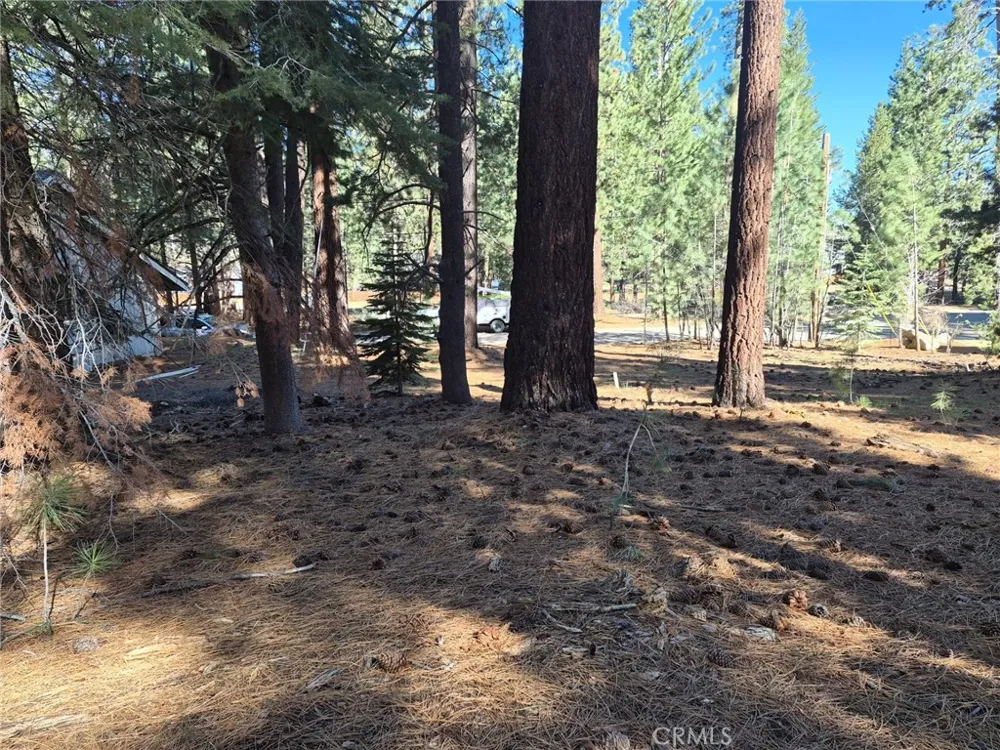 1662 Maiden Hair Ct South Lake Tahoe, CA 96150