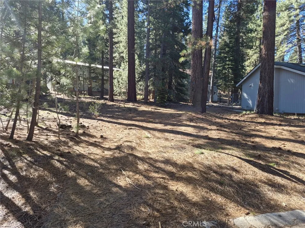 1662 Maiden Hair Ct South Lake Tahoe, CA 96150