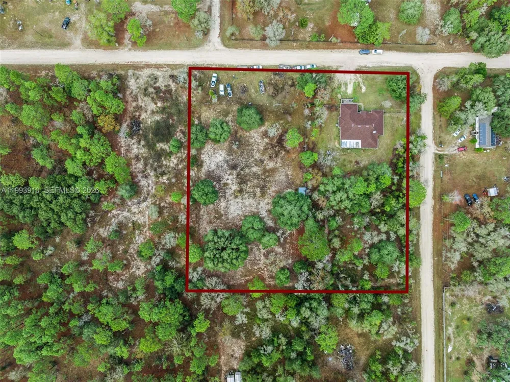 14170 SE 4th St. Williston, FL 32696