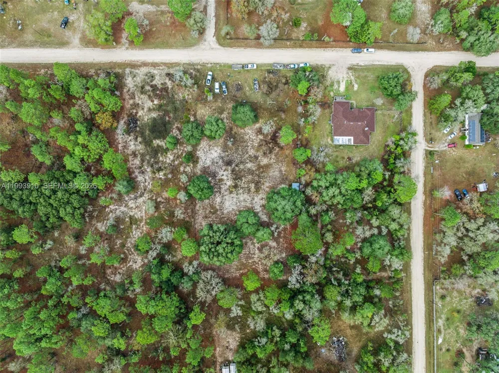 14170 SE 4th St. Williston, FL 32696