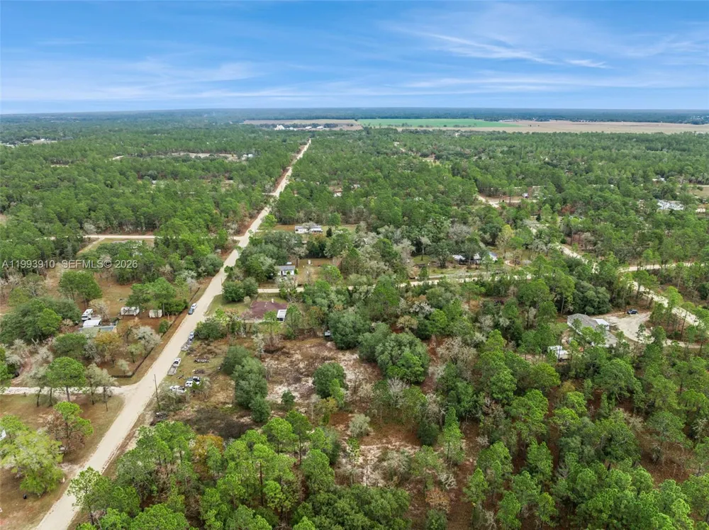 14170 SE 4th St. Williston, FL 32696