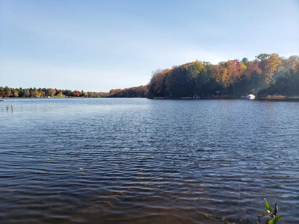 20308 Lakeview Drive Tustin, MI 49688
