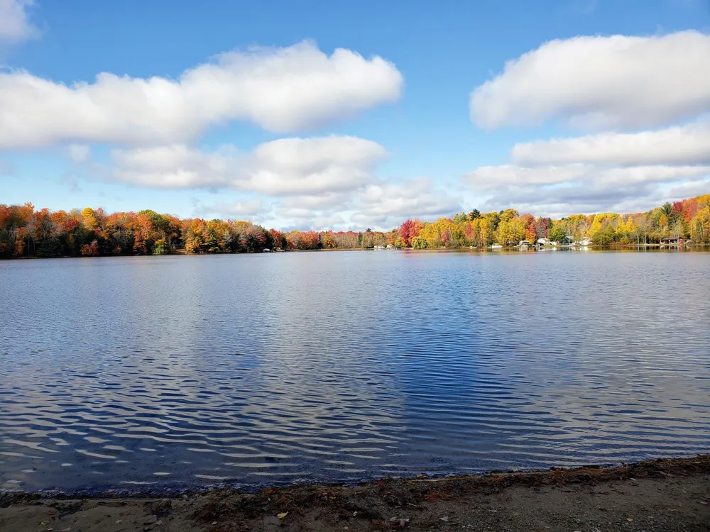 20308 Lakeview Drive Tustin, MI 49688
